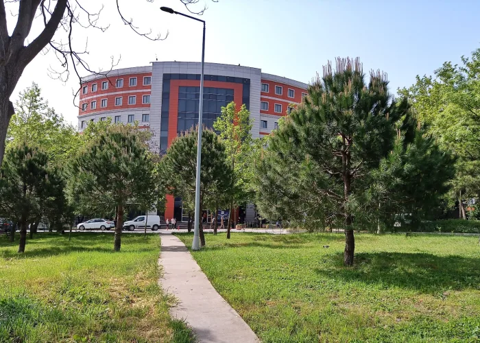 İstanbul Üniversitesi-Cerrahpaşa