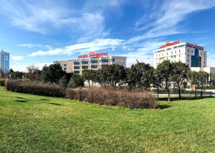 İstanbul Gelişim Üniversitesi