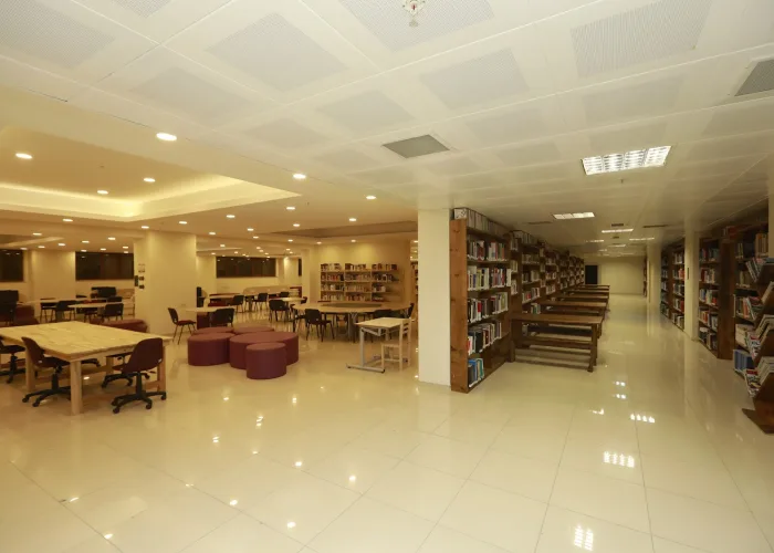 İstanbul Rumeli Üniversitesi