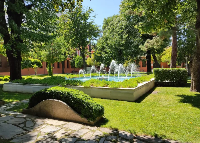 Bezmialem Vakıf Üniversitesi