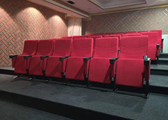 Sinema Salonu