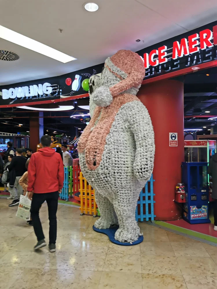 Student Social Life in Beylikdüzü: Beach, Shopping Malls and Cafes